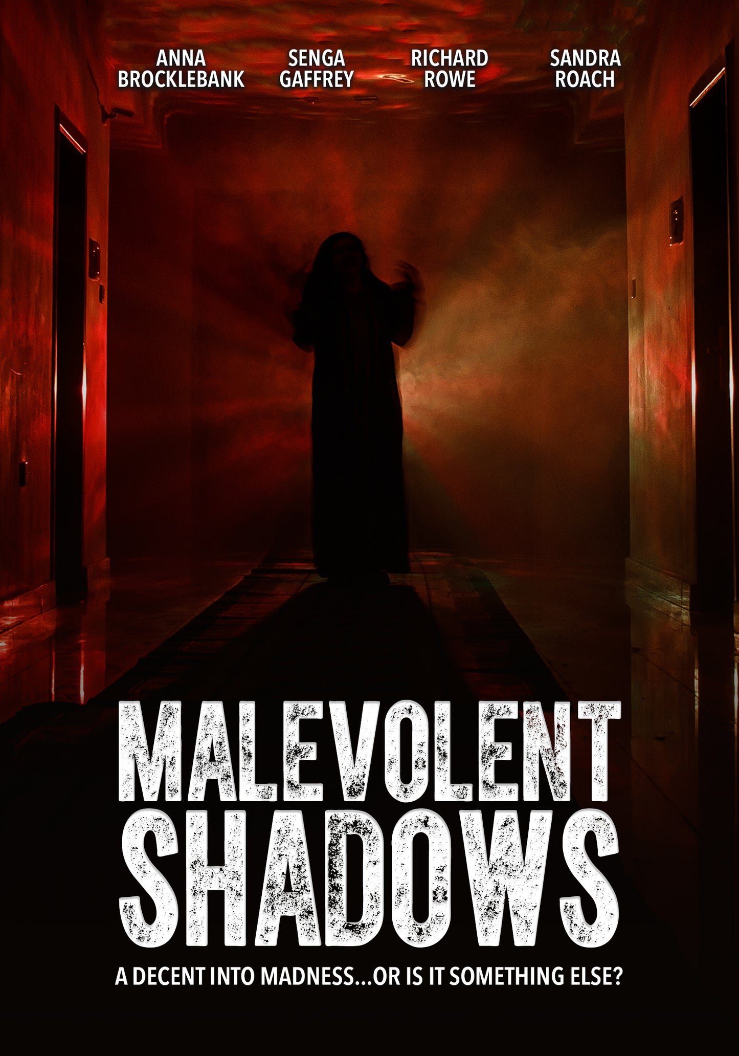 Malevolent Shadows cover art