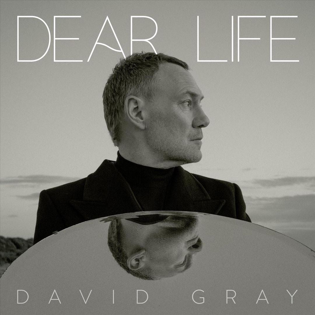 Dear Life cover art