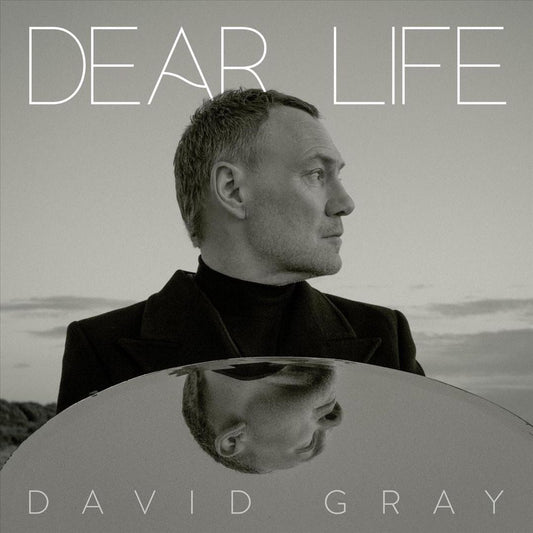 Dear Life cover art