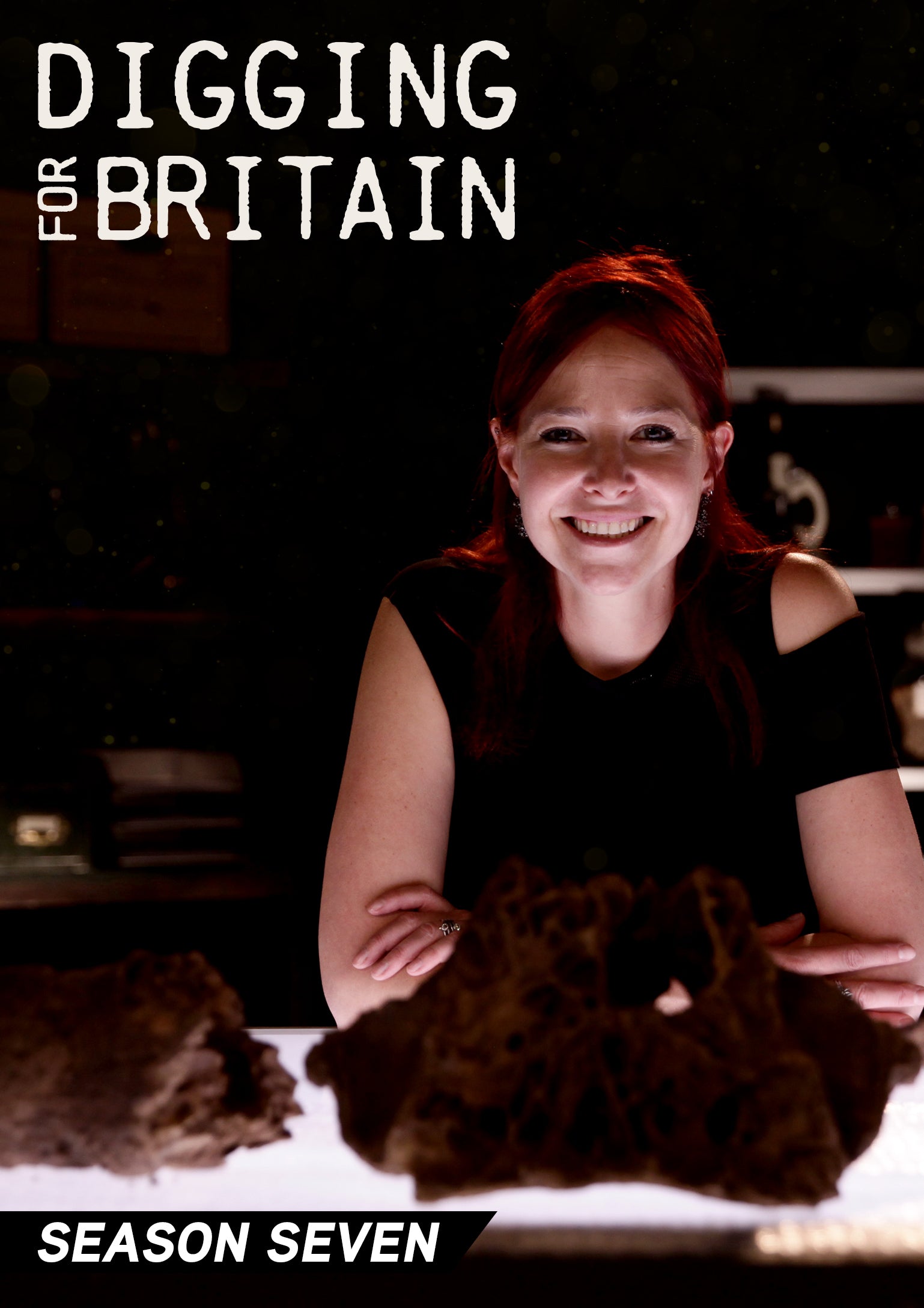 Digging for Britain: Season 7 cover art