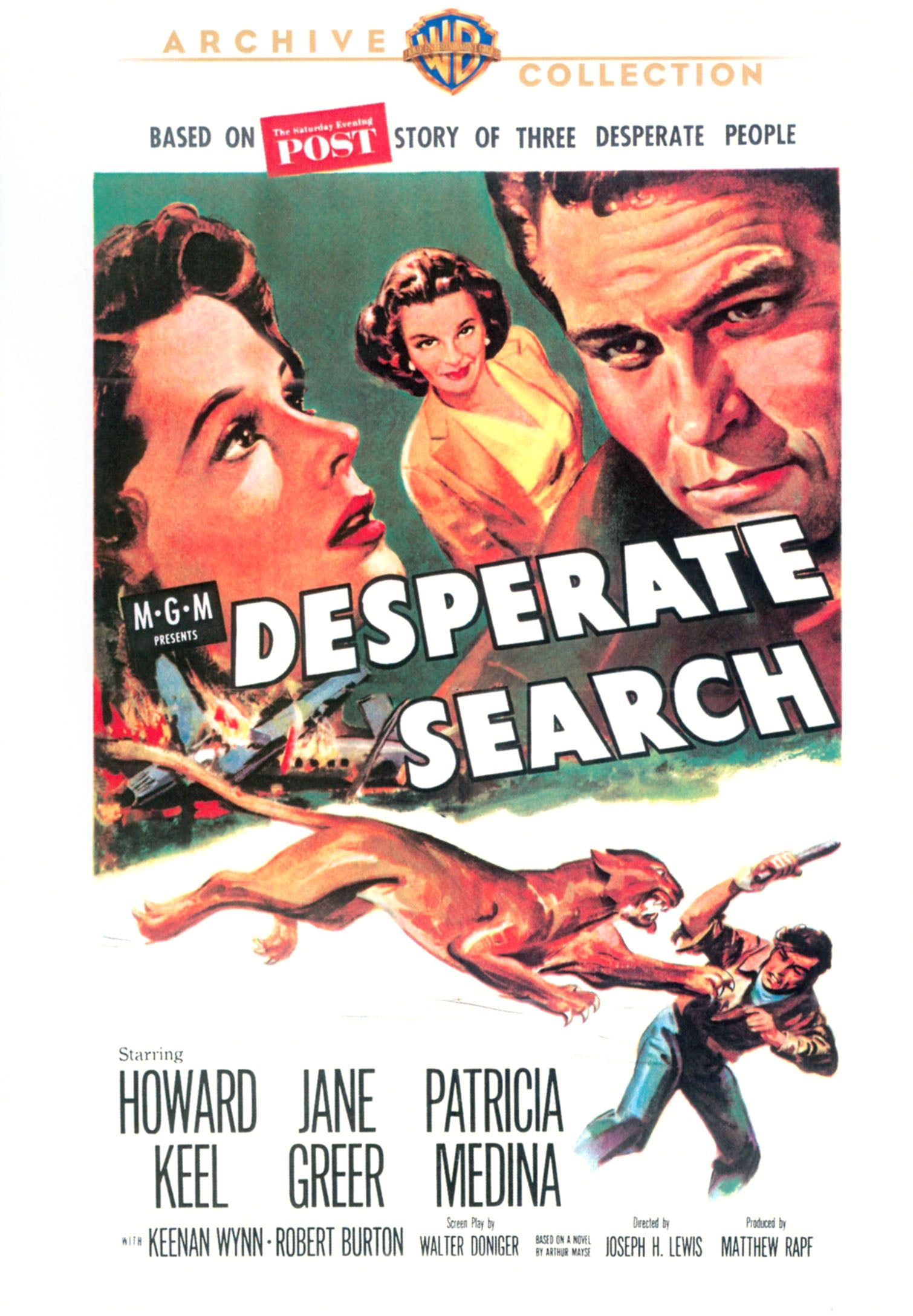 Desperate Search cover art