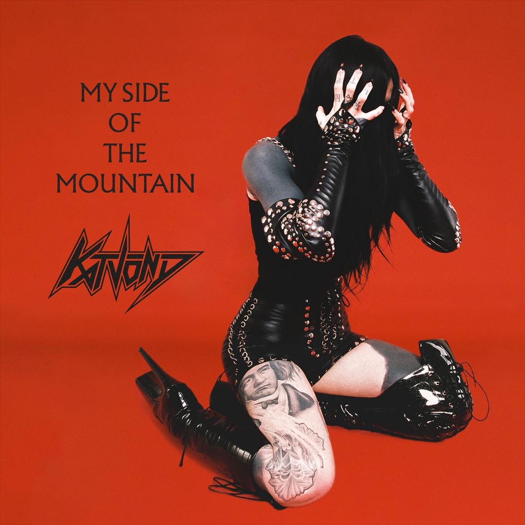 My Side of the Mountain cover art