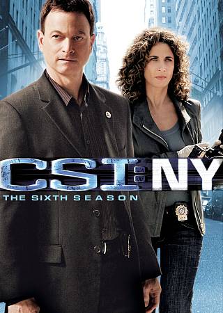 CSI: NY - The Sixth Season cover art