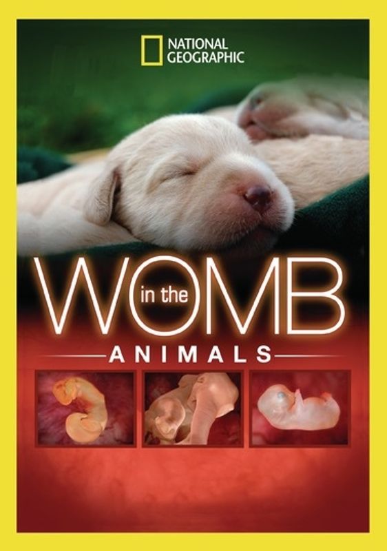 National Geographic: In the Womb - Animals cover art