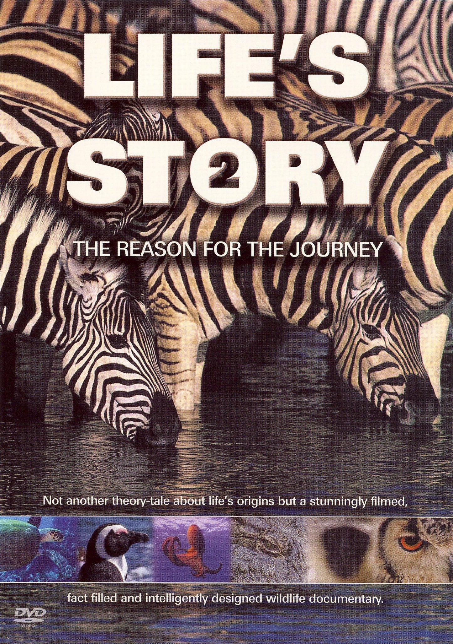 Life's Story 2: The Reason for the Journey cover art