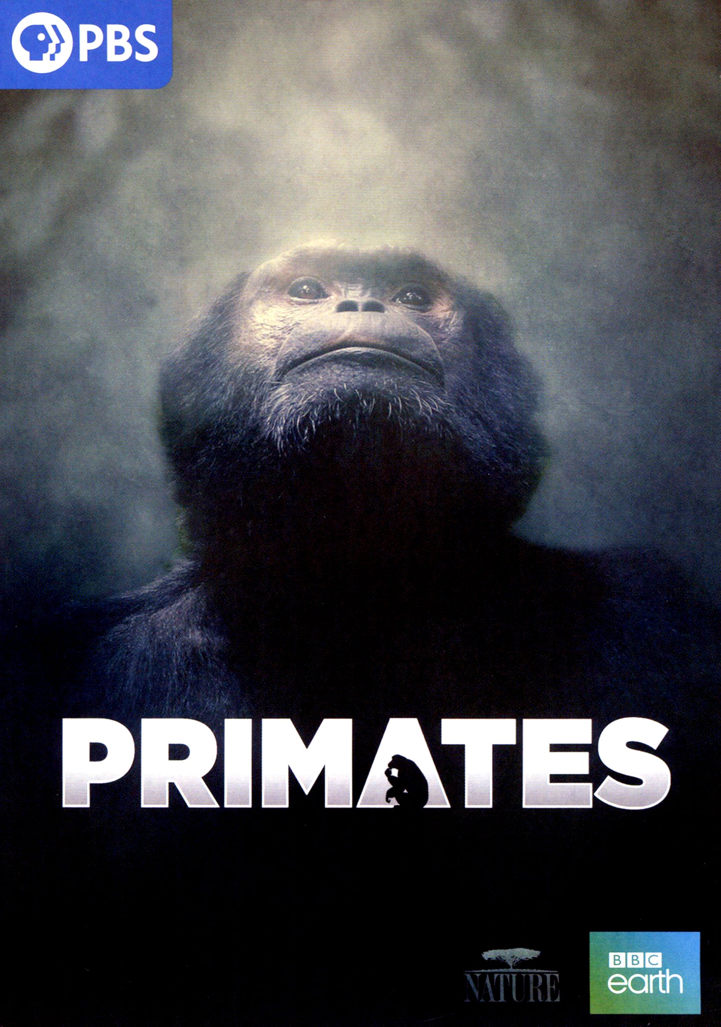 Nature: Primates cover art