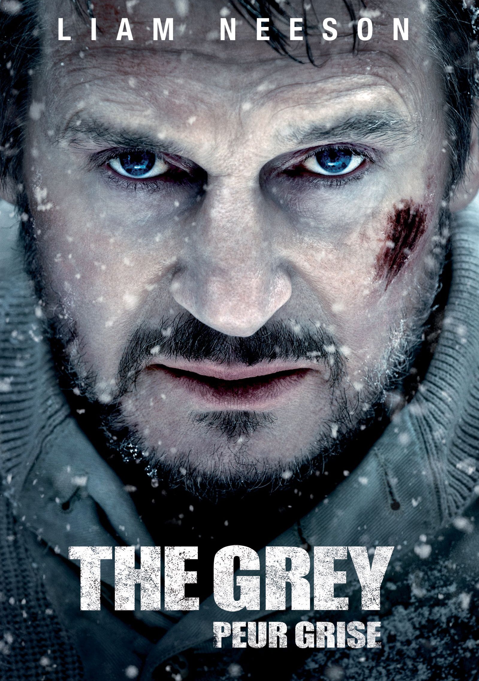 Grey cover art