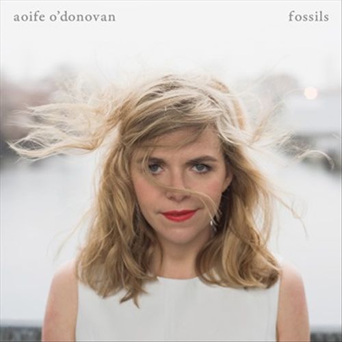 Fossils cover art