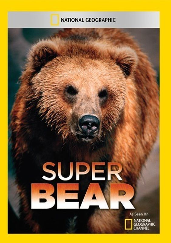 National Geographic: Super Bear cover art