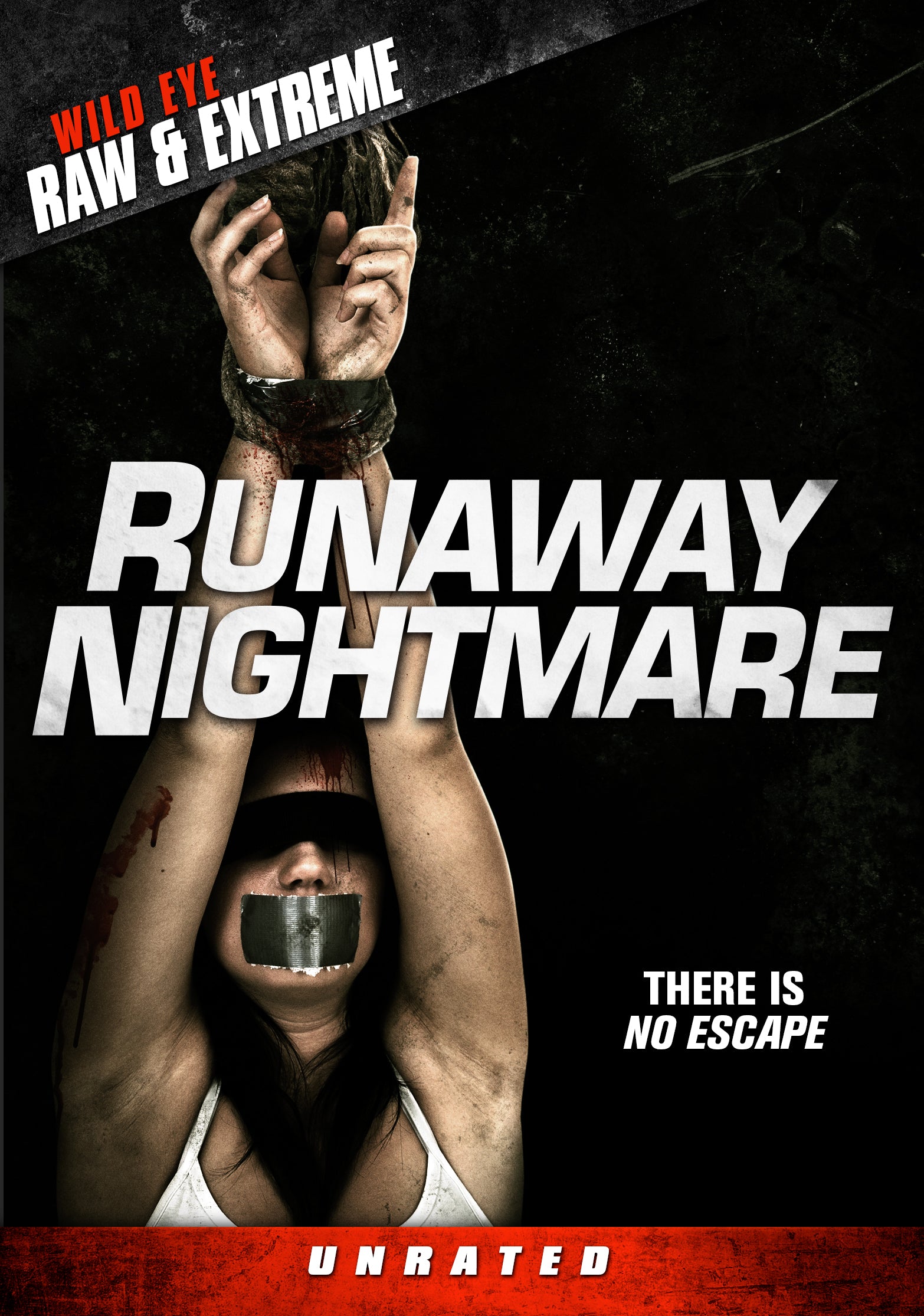 Runaway Nightmare cover art
