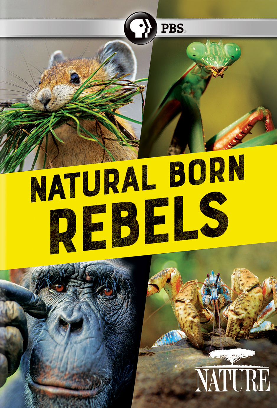 Nature: Natural Born Rebels cover art