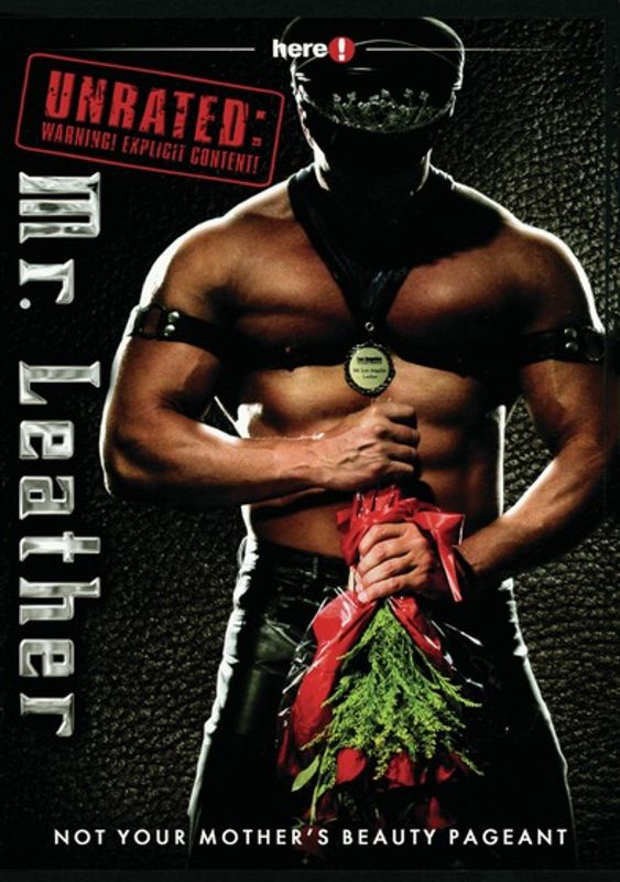 Mr. Leather cover art