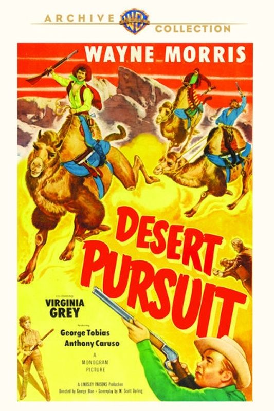 Desert Pursuit cover art