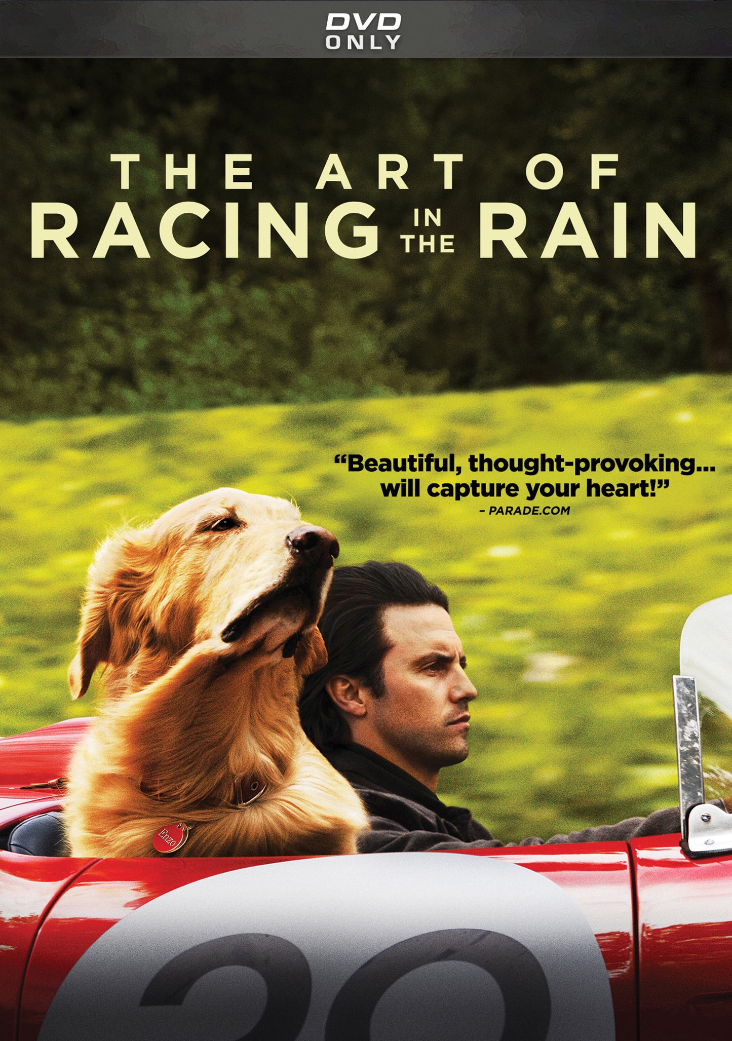 Art of Racing in the Rain cover art