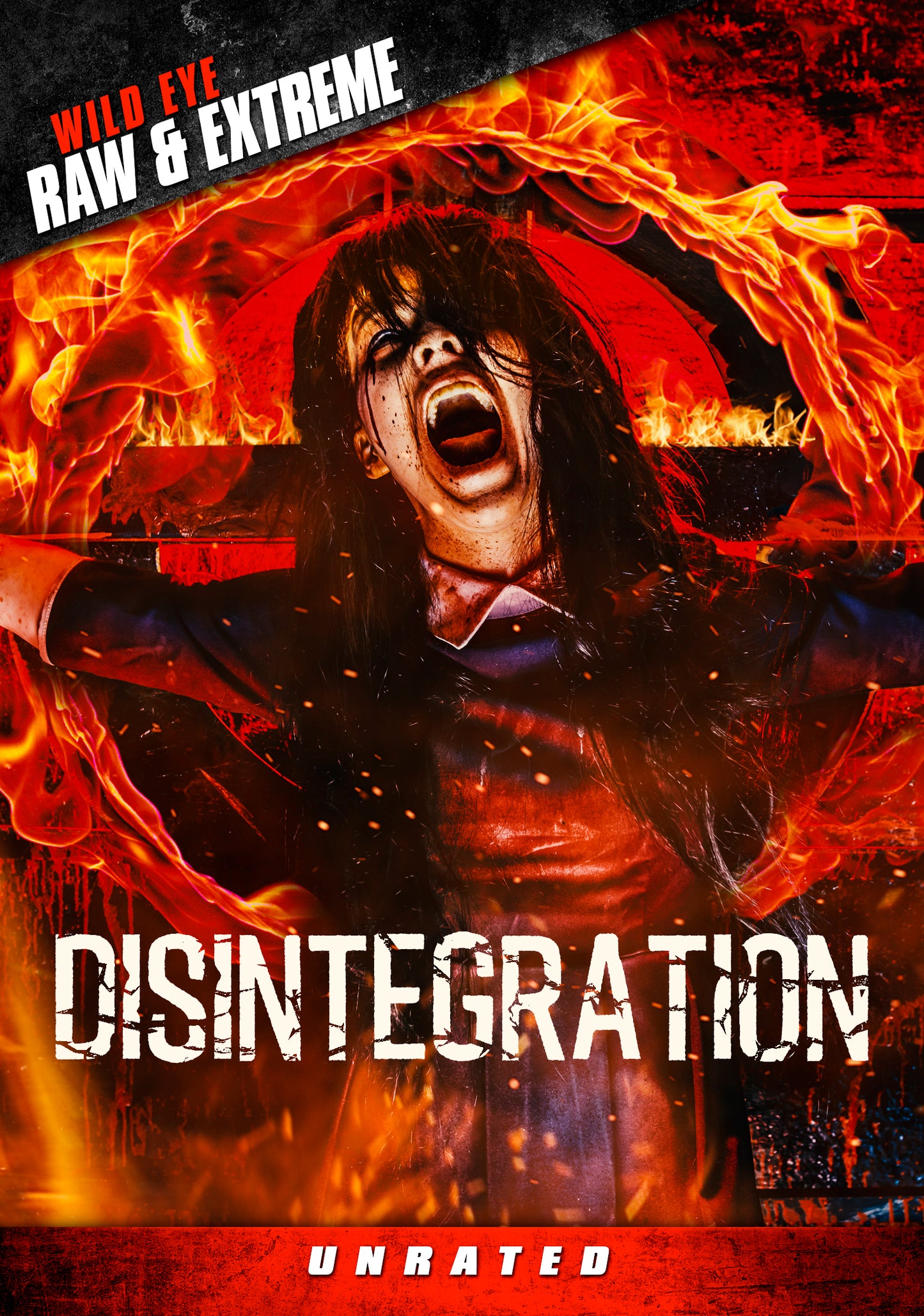 Disintegration cover art