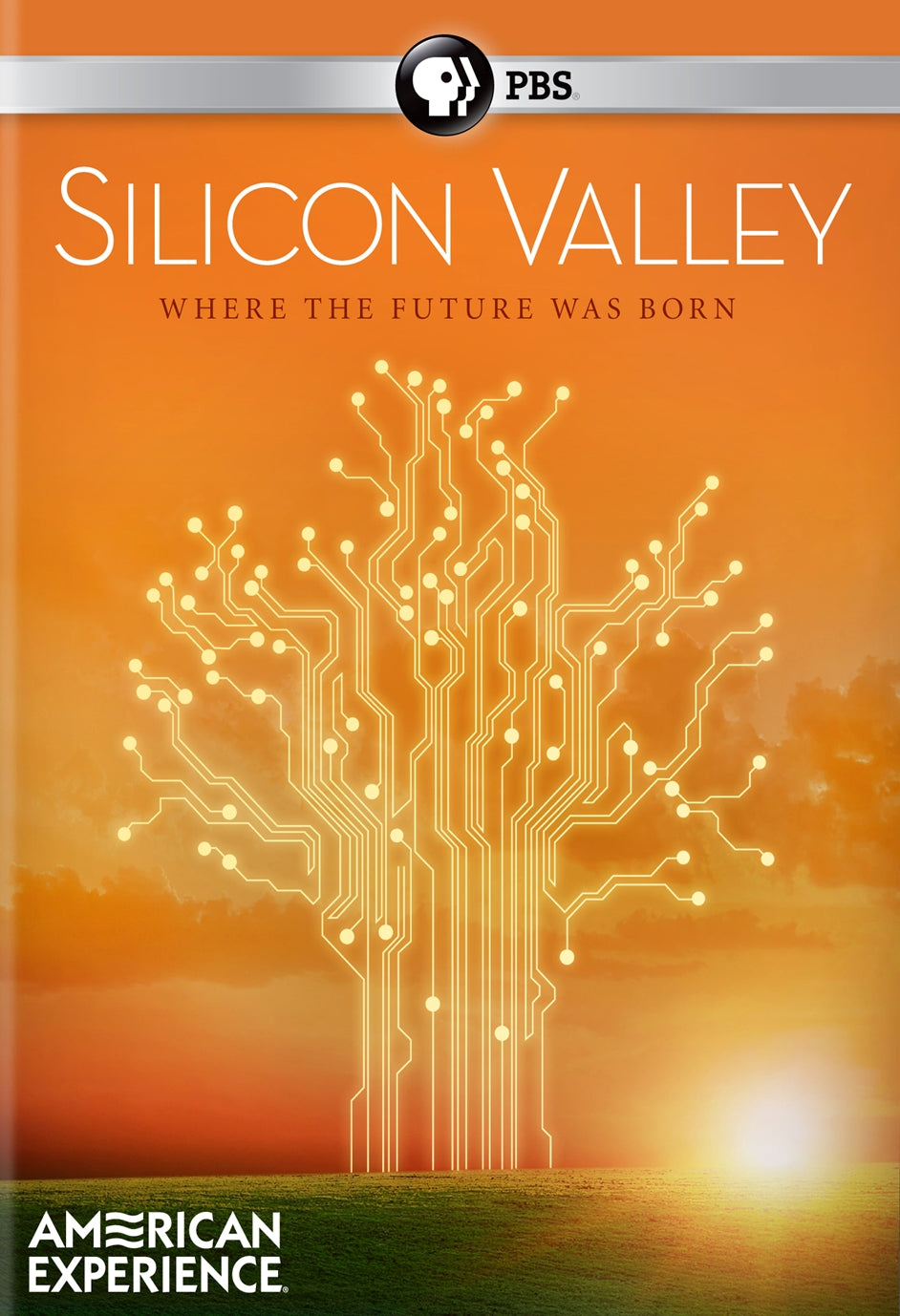 American Experience: Silicon Valley cover art