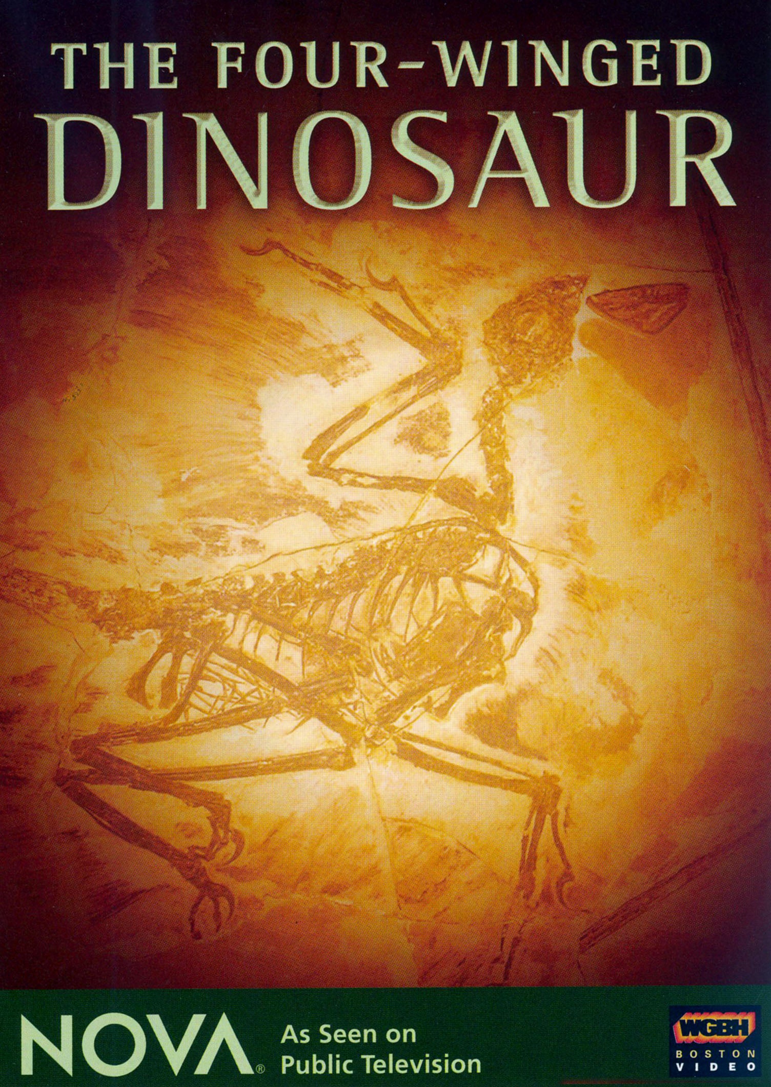 NOVA: The Four-Winged Dinosaur cover art